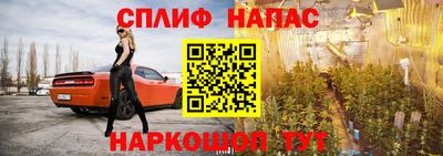 a pvp Будённовск