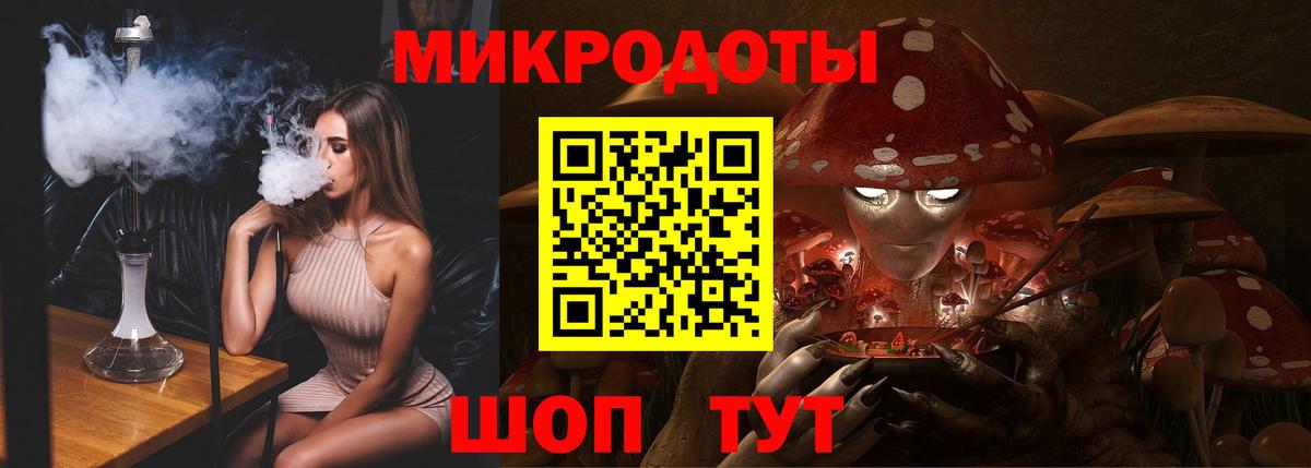 Галлюциногенные грибы Psilocybe Тосно